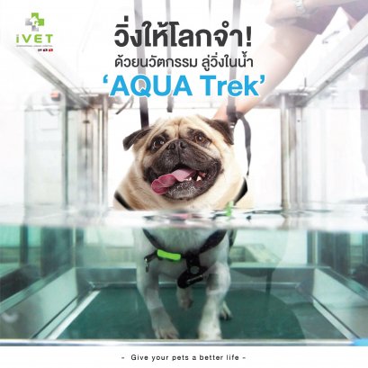 วิ่งให้โลกจำ! ด้วยนวัตกรรม ลู่วิ่งในน้ำ ‘AQUA Trek’